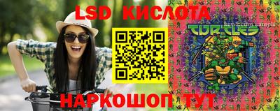 гидропоника Кулебаки