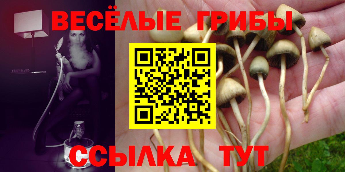 Галлюциногенные грибы ЛСД Заволжье
